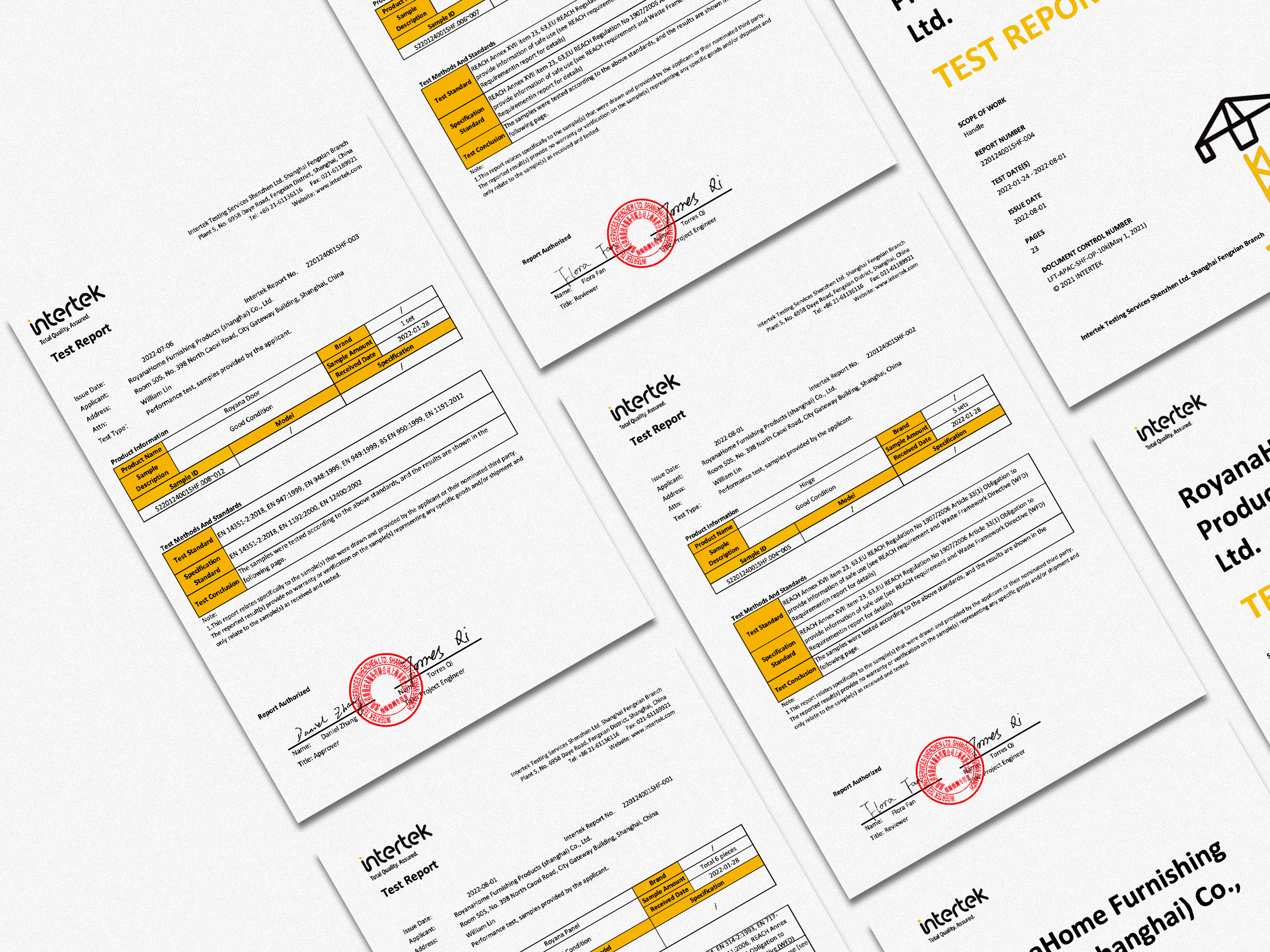 A Future-Oriented Vision